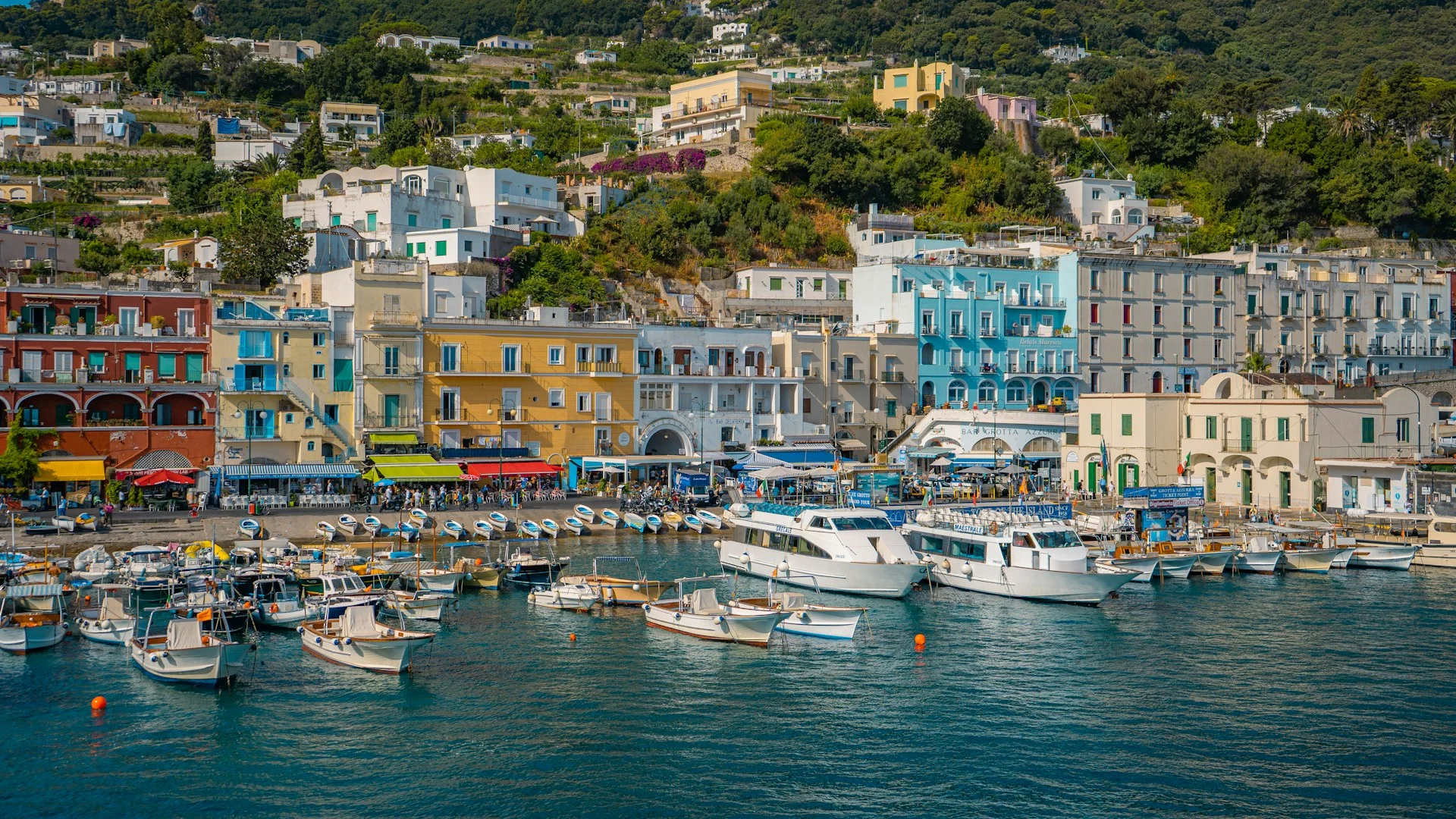 Il porto di Capri