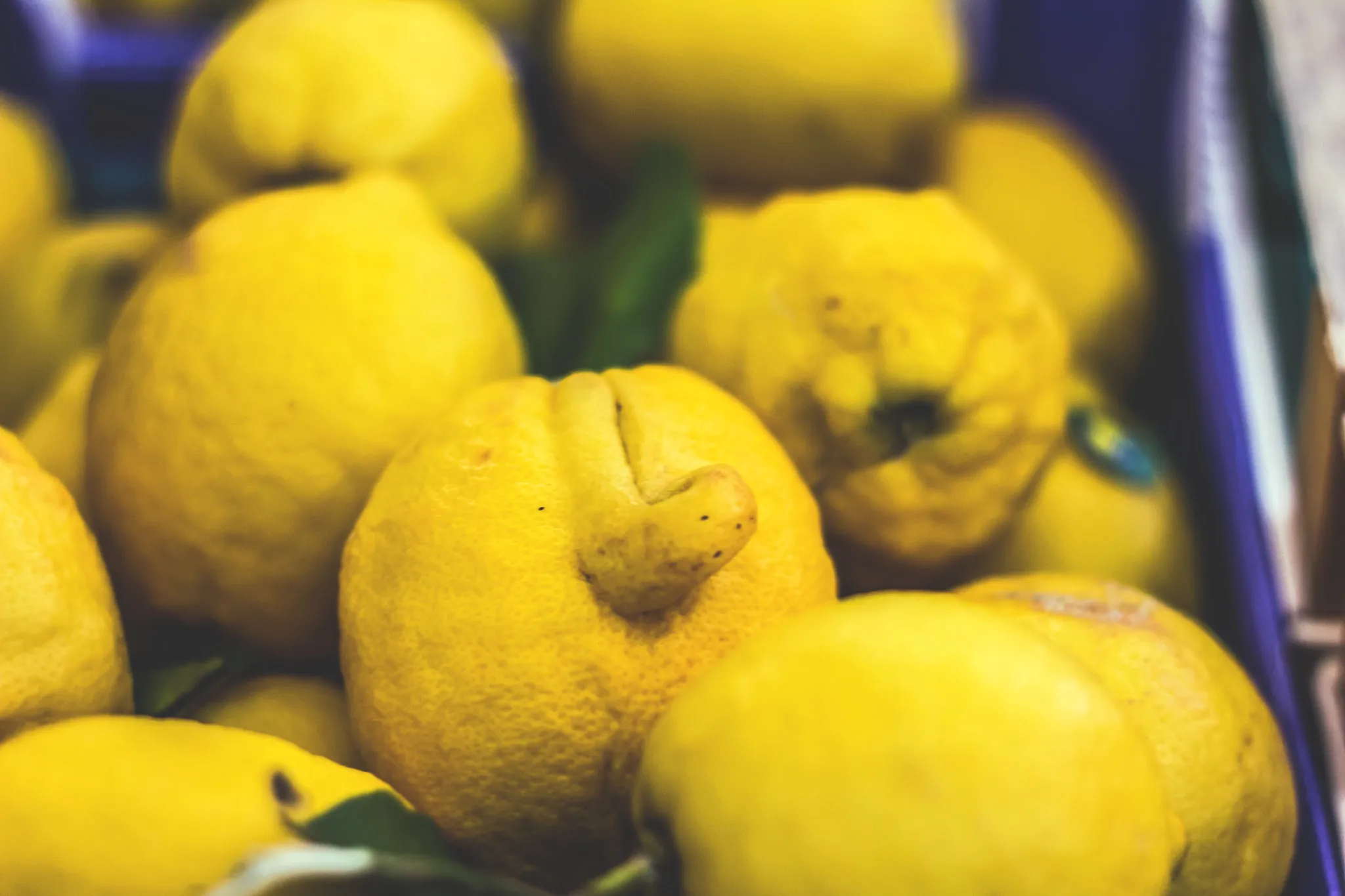 Limoni