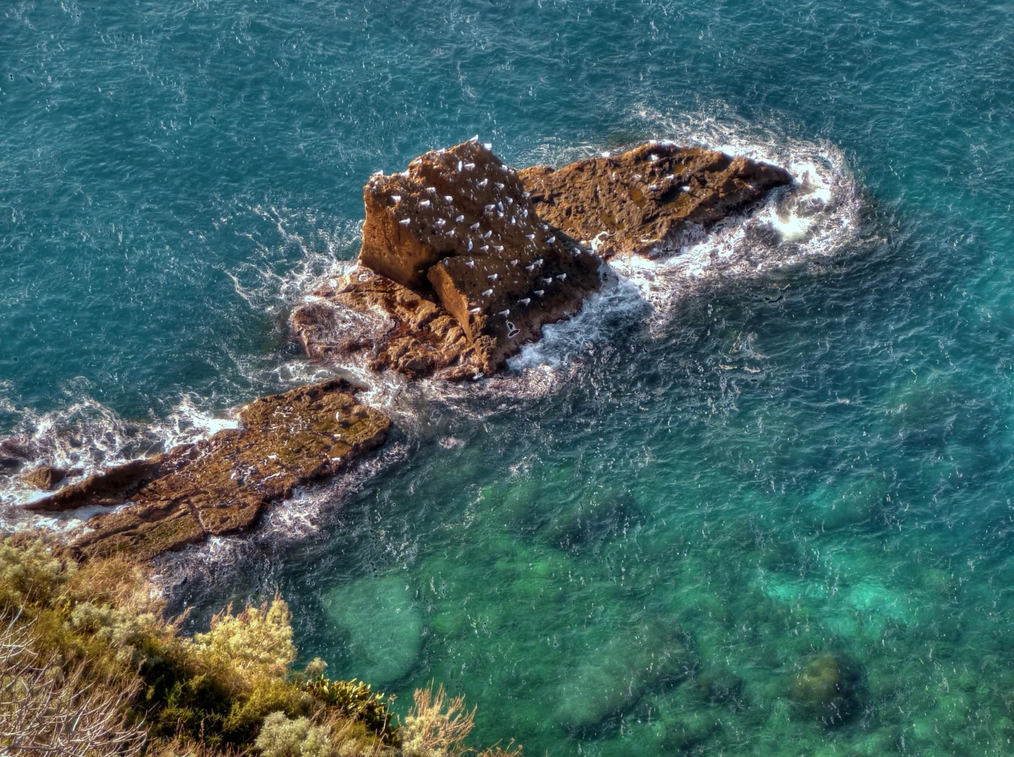 Procida mare